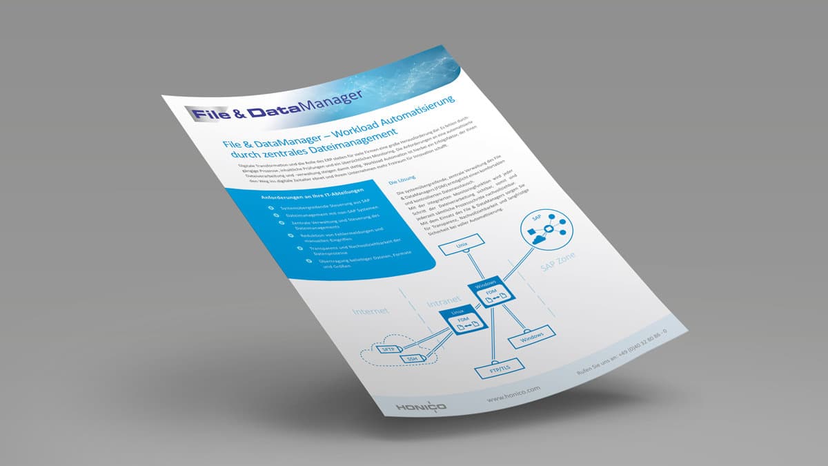 HONICO File & DataManager Product Data Sheet - Overview Product Information File Management